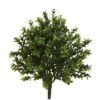 Indoor And Outdoor 15 In. Artificial Sweet Grass Bush (Set Of 6) -AFLORAL ONLINE STORE nearly natural artificial shrubs 6113 s6 64 1000