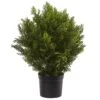 2 Ft. Artificial Cedar Bush Indoor/Outdoor -AFLORAL ONLINE STORE nearly natural artificial shrubs 6880 64 1000