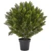 3 Ft. Artificial Cedar Bush (Indoor/Outdoor) -AFLORAL ONLINE STORE nearly natural artificial shrubs 6881 64 1000