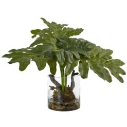 14 In. Philodendron Arrangement With Vase