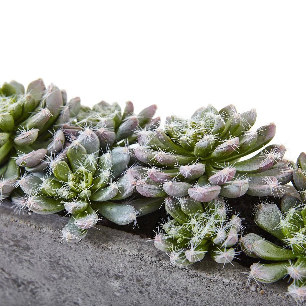 Artificial Succulent Garden With Textured Concrete Planter 6 Artificial Succulent Garden With Textured Concrete Planter - Image 4