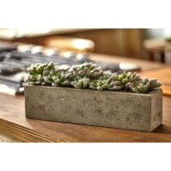 Artificial Succulent Garden With Textured Concrete Planter 15 Artificial Succulent Garden With Textured Concrete Planter -AFLORAL ONLINE STORE nearly natural artificial succulents 4544 31 1000