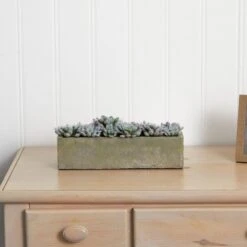Artificial Succulent Garden With Textured Concrete Planter 13 Artificial Succulent Garden With Textured Concrete Planter -AFLORAL ONLINE STORE nearly natural artificial succulents 4544 44 1000