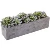 Artificial Succulent Garden With Textured Concrete Planter -AFLORAL ONLINE STORE nearly natural artificial succulents 4544 64 1000