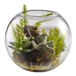 6.5 In. Artificial Mix Succulent Garden With Glass Vase 8 6.5 In. Artificial Mix Succulent Garden With Glass Vase -AFLORAL ONLINE STORE nearly natural artificial succulents 4564 4f 1000