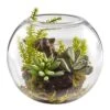 6.5 In. Artificial Mix Succulent Garden With Glass Vase -AFLORAL ONLINE STORE nearly natural artificial succulents 4564 64 1000