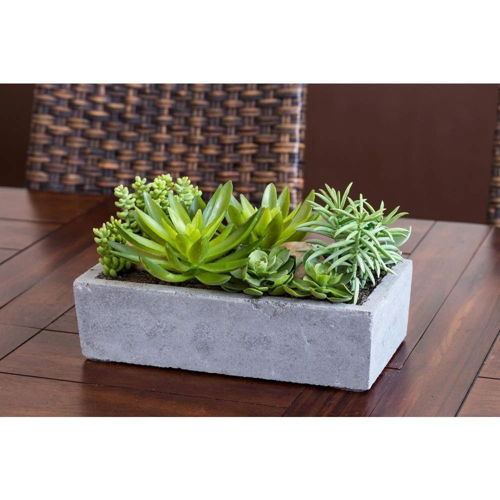 Artificial Succulent Garden With Concrete Planter 6 Artificial Succulent Garden With Concrete Planter - Image 4