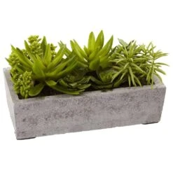 Artificial Succulent Garden With Concrete Planter 13 Artificial Succulent Garden With Concrete Planter -AFLORAL ONLINE STORE nearly natural artificial succulents 4841 4f 1000