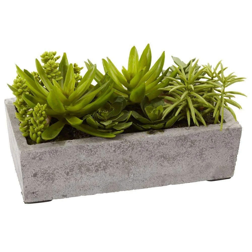 Artificial Succulent Garden With Concrete Planter 5 Artificial Succulent Garden With Concrete Planter - Image 3