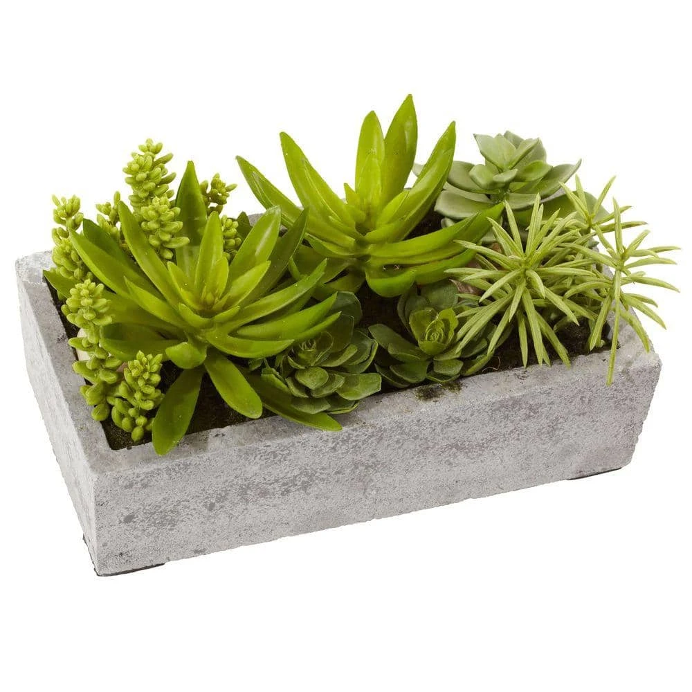 Artificial Succulent Garden With Concrete Planter 3 Artificial Succulent Garden With Concrete Planter