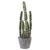 Artificial Decorative Cactus Garden With Cement Planter -AFLORAL ONLINE STORE nearly natural artificial succulents 4845 64 1000