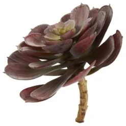 6 In. Artificial Echeveria Succulent (Set Of 12) -AFLORAL ONLINE STORE nearly natural artificial succulents 6105 bg s12 1f 1000