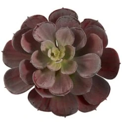 6 In. Artificial Echeveria Succulent (Set Of 12) -AFLORAL ONLINE STORE nearly natural artificial succulents 6105 bg s12 4f 1000