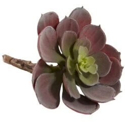 5 In. Artificial Echeveria Succulent Plant (Set Of 12) -AFLORAL ONLINE STORE nearly natural artificial succulents 6106 bg s12 1f 1000