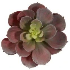 5 In. Artificial Echeveria Succulent Plant (Set Of 12) -AFLORAL ONLINE STORE nearly natural artificial succulents 6106 bg s12 4f 1000