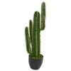 Indoor 2.5 Ft. Cactus Artificial Plant -AFLORAL ONLINE STORE nearly natural artificial succulents 6328 64 1000