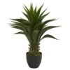 Indoor 28 In. Agave Artificial Plant -AFLORAL ONLINE STORE nearly natural artificial succulents 6331 64 1000