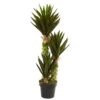 Indoor 3.5 Ft. Agave Artificial Plant -AFLORAL ONLINE STORE nearly natural artificial succulents 6347 64 1000