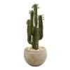 Indoor 2.5 Ft. Cactus Artificial Plant In Bowl Planter -AFLORAL ONLINE STORE nearly natural artificial succulents 6546 64 1000