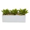7 In. Artificial Agave Succulent In Rectangular Planter 2 7 In. Artificial Agave Succulent In Rectangular Planter -AFLORAL ONLINE STORE nearly natural artificial succulents 6916 64 1000