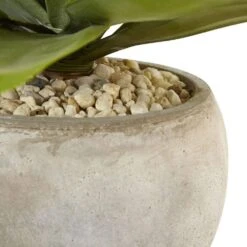 Indoor 24 In. Agave Artificial Plant In Sand Colored Bowl -AFLORAL ONLINE STORE nearly natural artificial succulents 6959 1f 1000