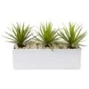 Indoor Mini Agave Artificial Plant In Rectangular Ceramic -AFLORAL ONLINE STORE nearly natural artificial succulents 6974 64 1000