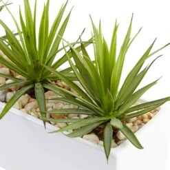 Indoor Mini Agave Artificial Plant In Rectangular Ceramic -AFLORAL ONLINE STORE nearly natural artificial succulents 6974 c3 1000
