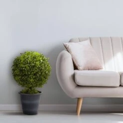 23 In. Artificial Boxwood Ball Topiary -AFLORAL ONLINE STORE nearly natural artificial topiaries 4560 31 1000