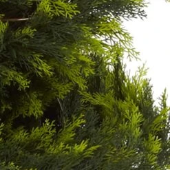 5 Ft. Artificial Green Cypress Spiral Tree 9 5 Ft. Artificial Green Cypress Spiral Tree -AFLORAL ONLINE STORE nearly natural artificial topiaries 5325 4f 1000