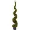 4 Ft. Artificial Mohlenbechia Spiral Tree 2 4 Ft. Artificial Mohlenbechia Spiral Tree -AFLORAL ONLINE STORE nearly natural artificial topiaries 5353 64 1000