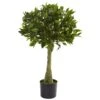 3 Ft. Artificial UV Resistant Indoor/Outdoor Bay Leaf Topiary 2 3 Ft. Artificial UV Resistant Indoor/Outdoor Bay Leaf Topiary -AFLORAL ONLINE STORE nearly natural artificial topiaries 5382 64 1000