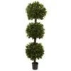 6.5 Ft. Artificial Sweet Bay Triple Ball Topiary -AFLORAL ONLINE STORE nearly natural artificial topiaries 5399 64 1000