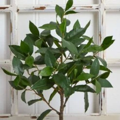 2.41 Ft. Artificial Topiary With Decorative Planter 12 2.41 Ft. Artificial Topiary With Decorative Planter -AFLORAL ONLINE STORE nearly natural artificial topiaries 5423 44 1000