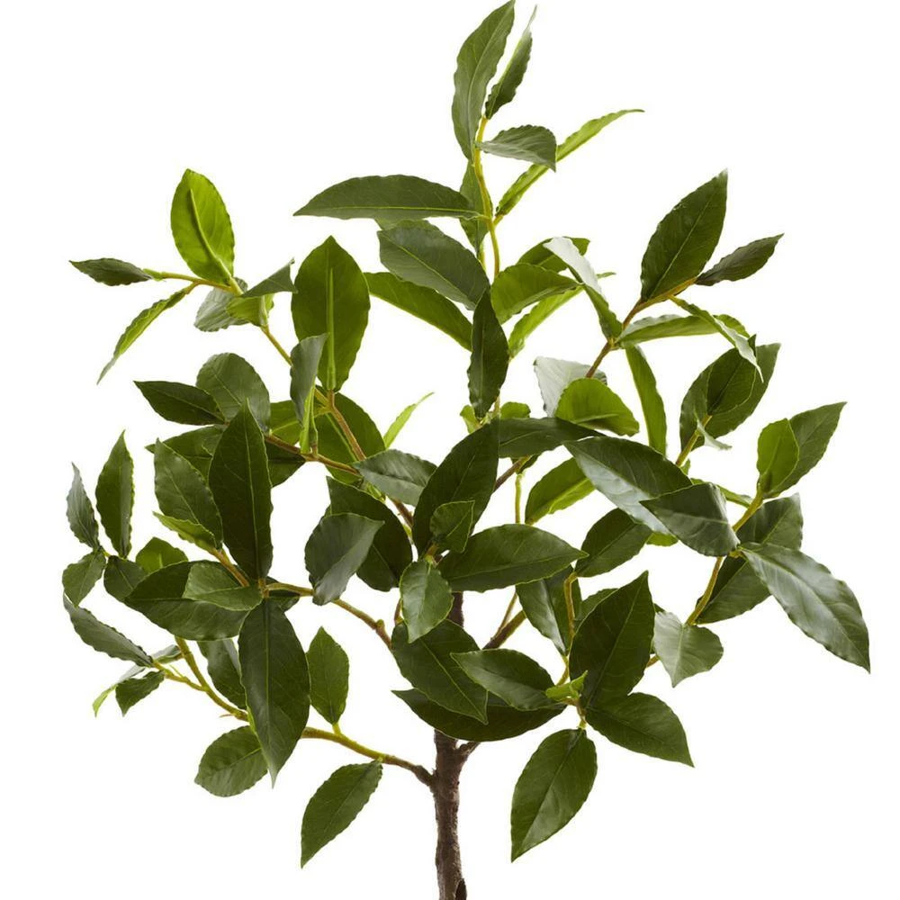 2.41 Ft. Artificial Topiary With Decorative Planter 4 2.41 Ft. Artificial Topiary With Decorative Planter - Image 2