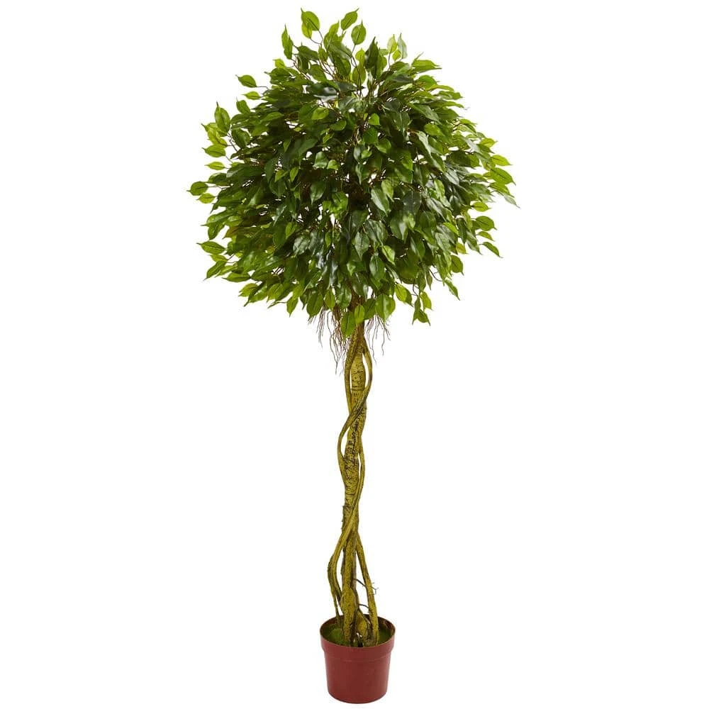 6 Ft. UV Resistant Indoor/Outdoor Ficus Artificial Topiary Tree 3 6 Ft. UV Resistant Indoor/Outdoor Ficus Artificial Topiary Tree