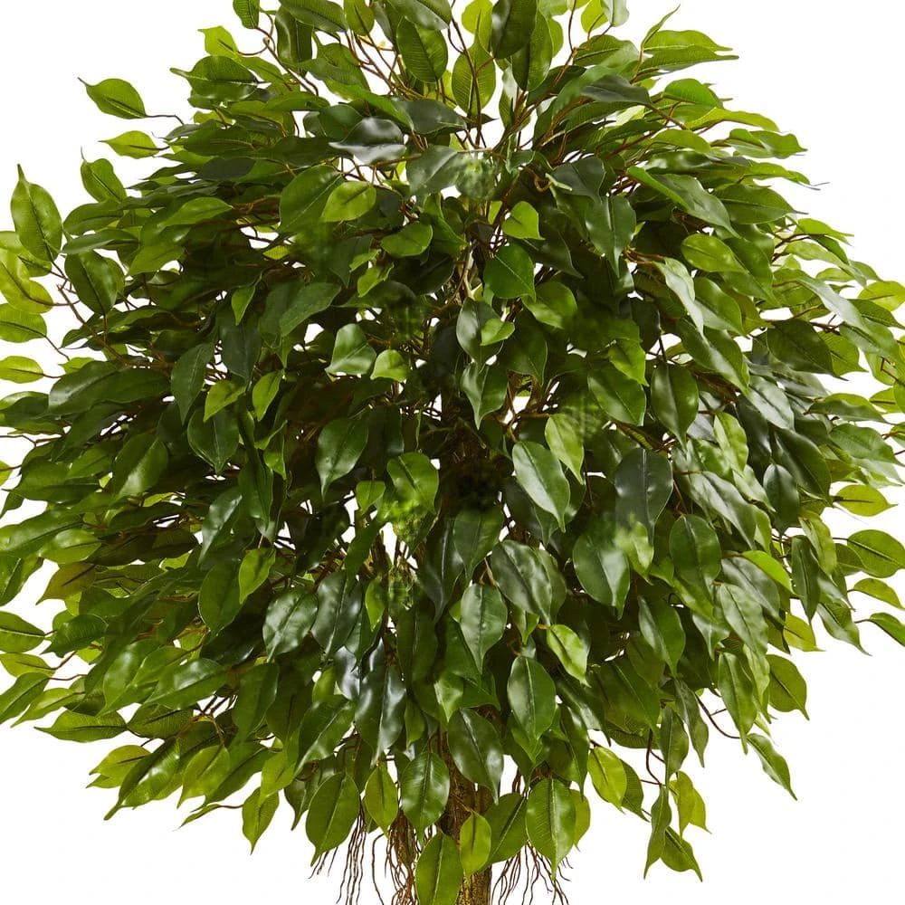 6 Ft. UV Resistant Indoor/Outdoor Ficus Artificial Topiary Tree 4 6 Ft. UV Resistant Indoor/Outdoor Ficus Artificial Topiary Tree - Image 2