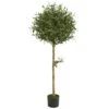 Indoor 5 Ft. Olive Topiary Artificial Tree -AFLORAL ONLINE STORE nearly natural artificial topiaries 5563 64 1000
