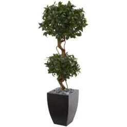 4.5 Ft. Sweet Bay Artificial Double Topiary Tree In Black Wash Planter