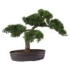 16 In. Artificial Cedar Bonsai Silk Plant 1 16 In. Artificial Cedar Bonsai Silk Plant -AFLORAL ONLINE STORE nearly natural artificial trees 4106 64 1000