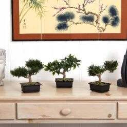 8-1/2 In. Artificial Bonsai Silk Plant Collection (Set Of 3) 7 8-1/2 In. Artificial Bonsai Silk Plant Collection (Set Of 3) -AFLORAL ONLINE STORE nearly natural artificial trees 4122 31 1000