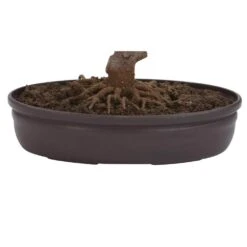 15 In. H Pink Artificial Cherry Blossom Bonsai Silk Tree -AFLORAL ONLINE STORE nearly natural artificial trees 4764 4f 1000