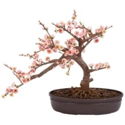 15 In. H Pink Artificial Cherry Blossom Bonsai Silk Tree