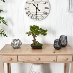 Artificial Podocarpus With Mossed Bonsai Planter -AFLORAL ONLINE STORE nearly natural artificial trees 4848 31 1000