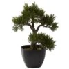 15 In. Artificial Cedar Bonsai 1 15 In. Artificial Cedar Bonsai -AFLORAL ONLINE STORE nearly natural artificial trees 4966 64 1000