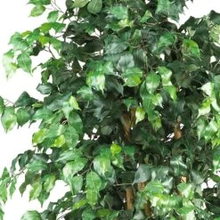 6 Ft. Artificial Multi-Trunk Silk Ficus Tree -AFLORAL ONLINE STORE nearly natural artificial trees 5216 4f 1000