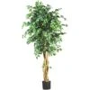 6 Ft. Artificial Multi-Trunk Silk Ficus Tree 2 6 Ft. Artificial Multi-Trunk Silk Ficus Tree -AFLORAL ONLINE STORE nearly natural artificial trees 5216 64 1000