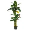 6 Ft. Artificial Triple-Stalk Banana Silk Tree