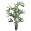 6 Ft. Artificial Green Kentia Palm Silk Tree -AFLORAL ONLINE STORE nearly natural artificial trees 5308 64 1000