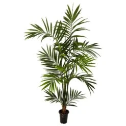 6 Ft. Artificial Green Kenitia Palm Silk Tree