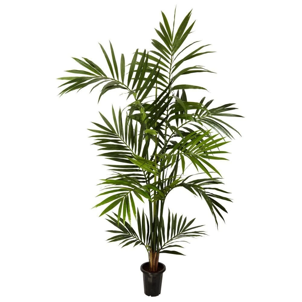 6 Ft. Artificial Green Kenitia Palm Silk Tree 3 6 Ft. Artificial Green Kenitia Palm Silk Tree